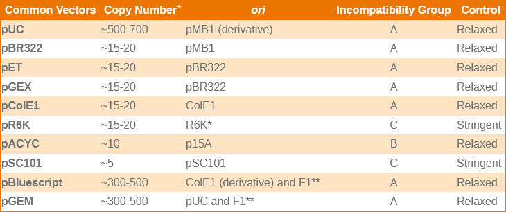 f:id:hit-us_con-cats:20210923060735p:plain
