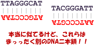 f:id:hit-us_con-cats:20211020062438p:plain