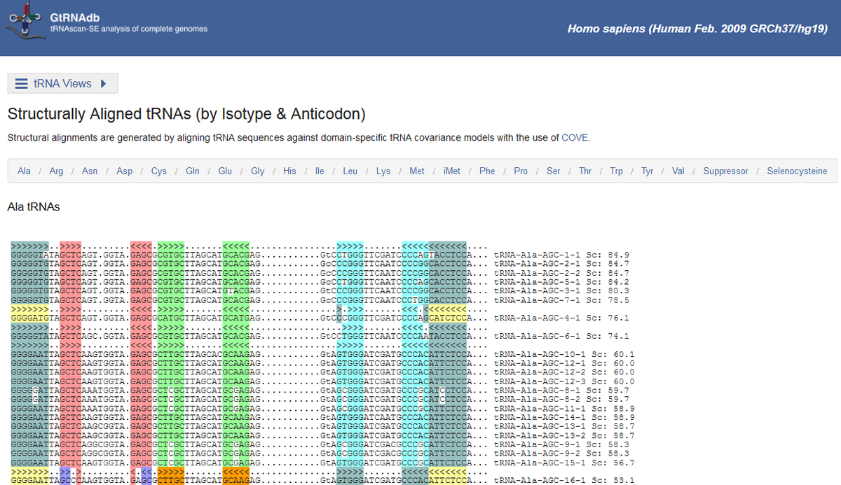 f:id:hit-us_con-cats:20211112064205p:plain