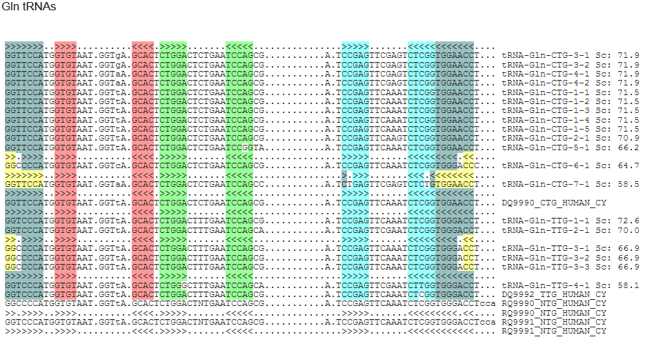 f:id:hit-us_con-cats:20211112064804p:plain