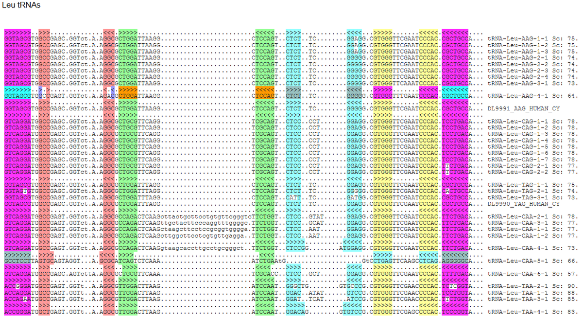 f:id:hit-us_con-cats:20211112065017p:plain