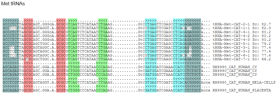 f:id:hit-us_con-cats:20211112065213p:plain