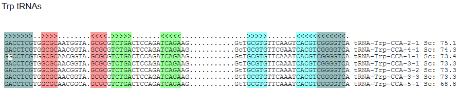 f:id:hit-us_con-cats:20211112065404p:plain