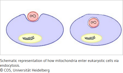 f:id:hit-us_con-cats:20211125064543p:plain