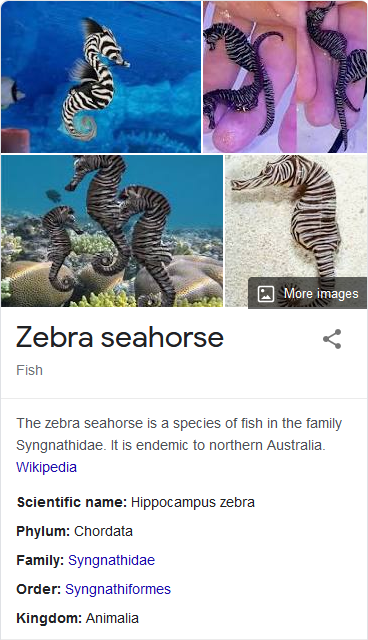 f:id:hit-us_con-cats:20211223064859p:plain