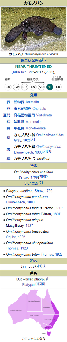 f:id:hit-us_con-cats:20211223065334p:plain