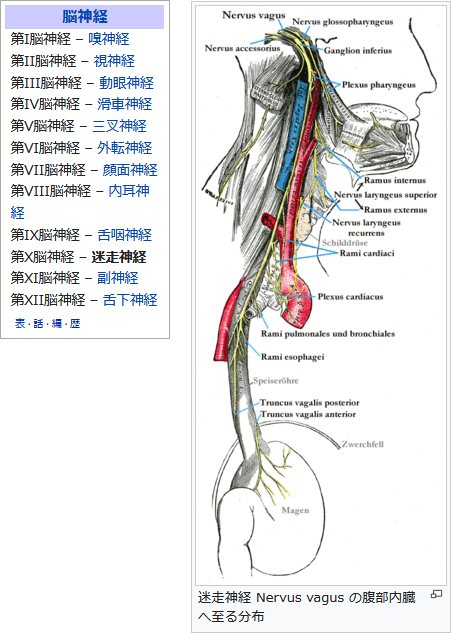 f:id:hit-us_con-cats:20211231065009p:plain