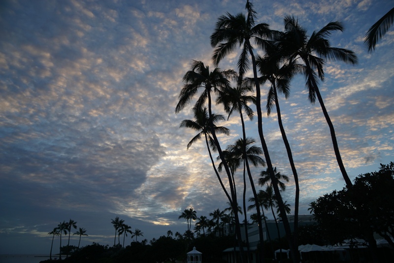 f:id:hitachibana:20141104164710j:plain
