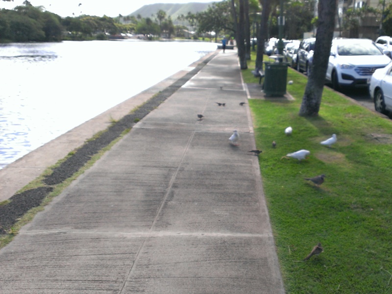f:id:hitachibana:20141108094938j:plain