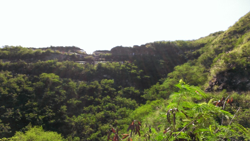 f:id:hitachibana:20141108111015j:plain