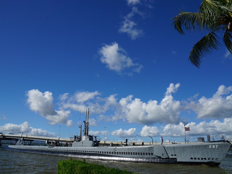 f:id:hitachibana:20141115132436j:plain f:id:hitachibana:20141115132436j:plain