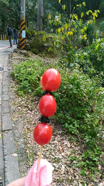 f:id:hitachibana:20170302210852j:image