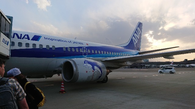 ANAのB737-500 スーパードルフィンがラストフライトを迎えたそうです