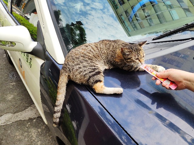 f:id:hitachibana:20190509220218j:image f:id:hitachibana:20190509220218j:image