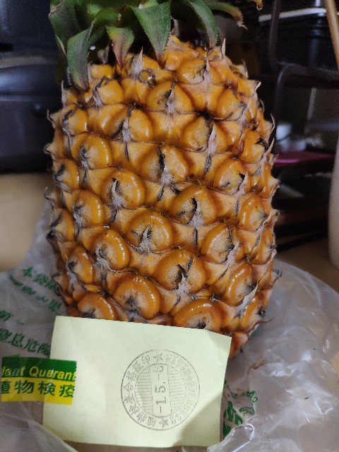 f:id:hitachibana:20190511151848j:image