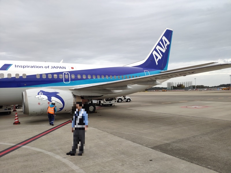 ANAのB737-500 スーパードルフィンがラストフライトを迎えたそうです