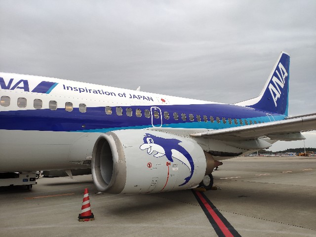 ANAのB737-500 スーパードルフィンがラストフライトを迎えたそうです