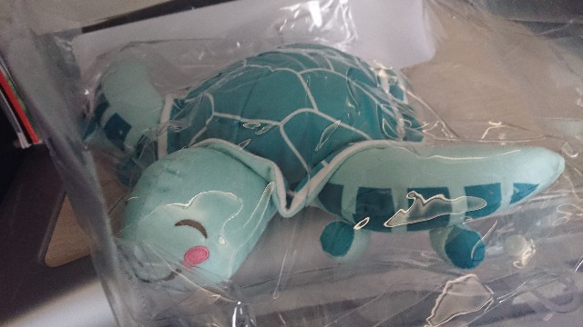 f:id:hitachibana:20191107083331j:image