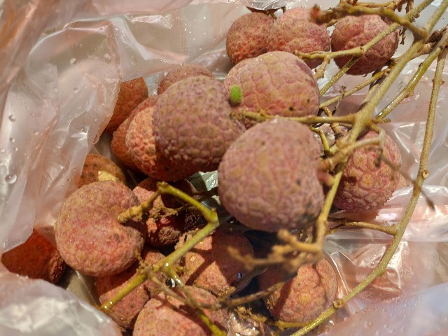 f:id:hitachibana:20200330081317j:image f:id:hitachibana:20200330081317j:image