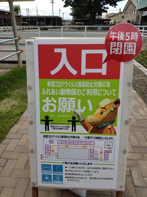 f:id:hitachibana:20200711133925j:plain f:id:hitachibana:20200711133925j:plain