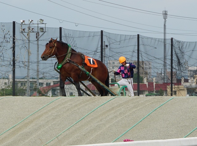 f:id:hitachibana:20200711144211j:plain f:id:hitachibana:20200711144211j:plain
