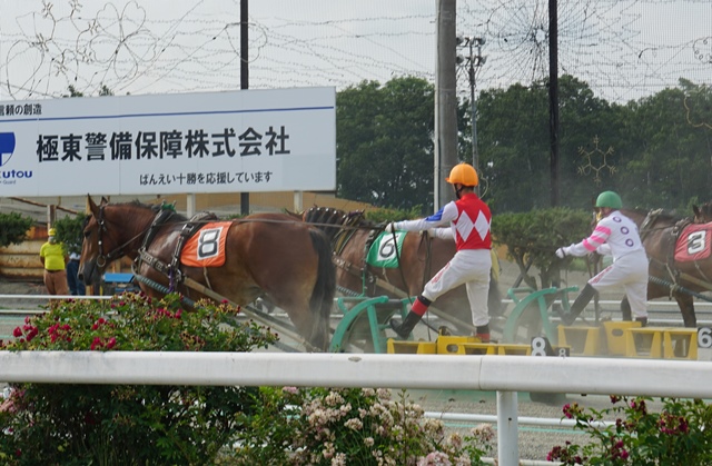 f:id:hitachibana:20200711151537j:plain f:id:hitachibana:20200711151537j:plain