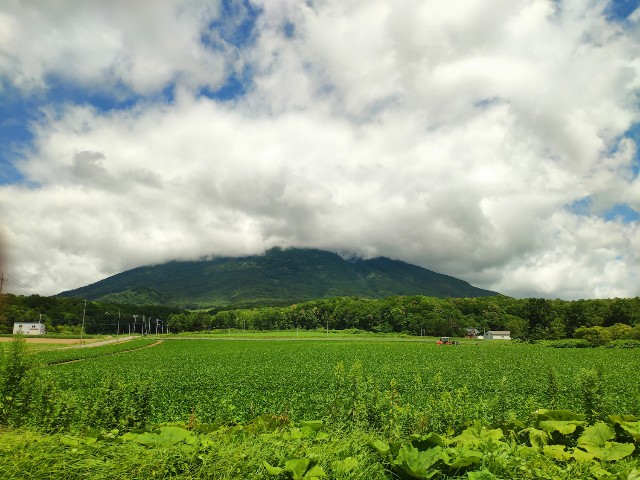 f:id:hitachibana:20200804002029j:image f:id:hitachibana:20200804002029j:image