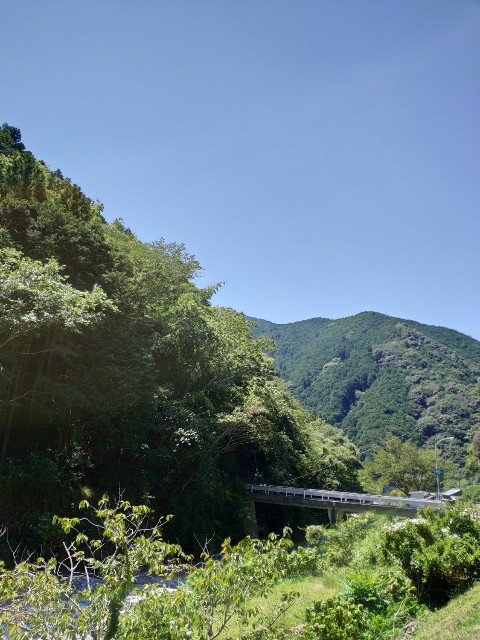 f:id:hitachibana:20200818080356j:image