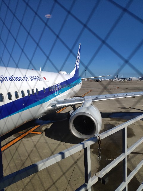 f:id:hitachibana:20200908194414j:image
