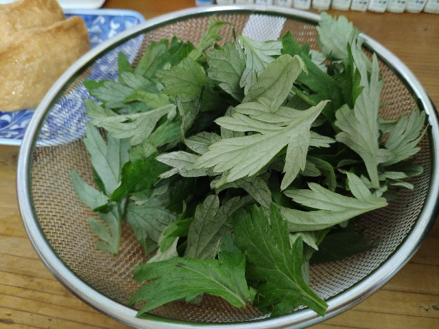 f:id:hitachibana:20200909083948j:image