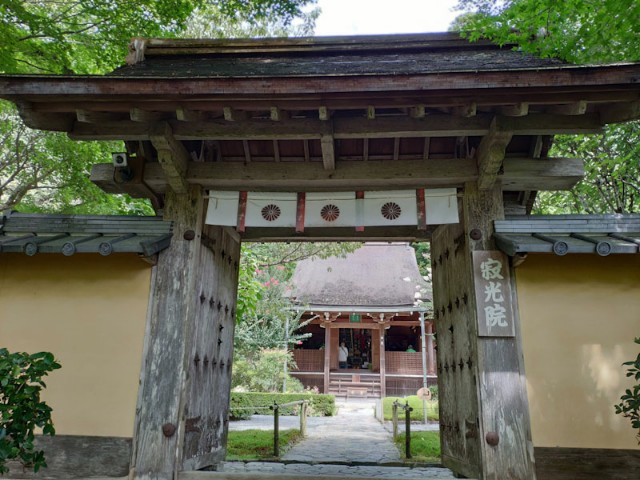 f:id:hitachibana:20200923201531j:image