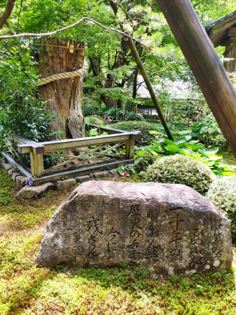 f:id:hitachibana:20200923202148j:image