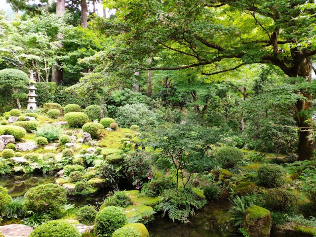 f:id:hitachibana:20200923202851j:image