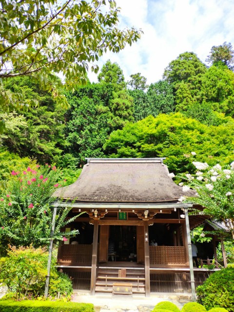 f:id:hitachibana:20200923224629j:image