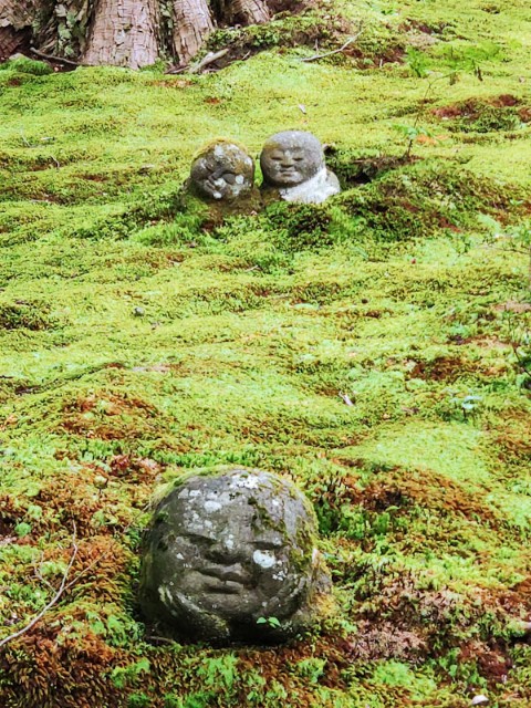 f:id:hitachibana:20200923224824j:image