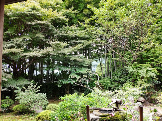 f:id:hitachibana:20200923225106j:image