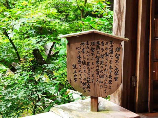 f:id:hitachibana:20200923225152j:image
