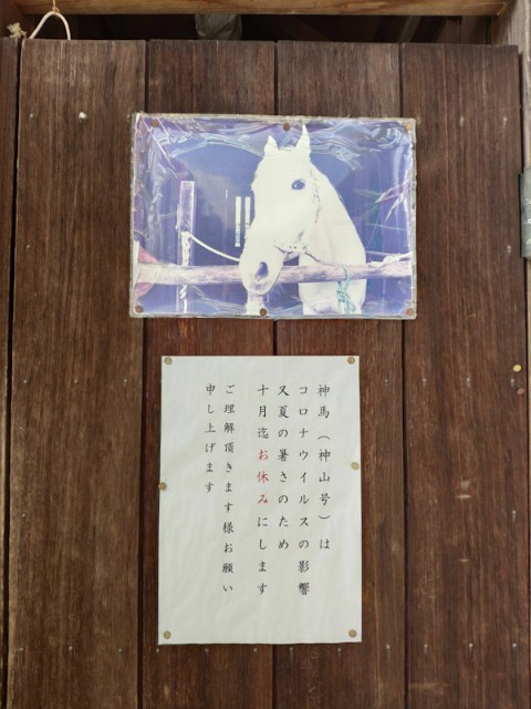f:id:hitachibana:20200923225659j:image