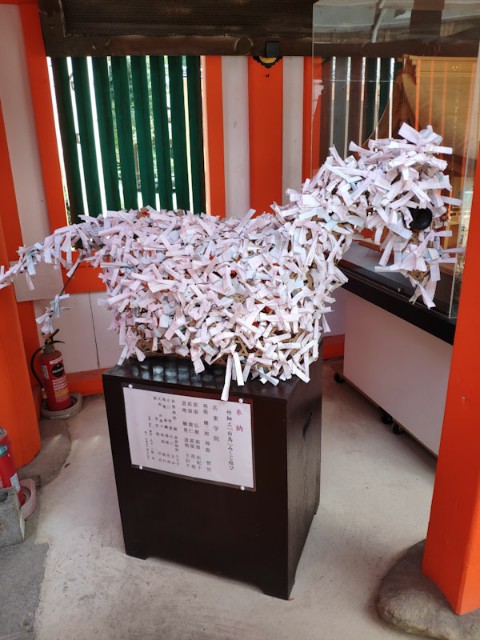 f:id:hitachibana:20200923225800j:image