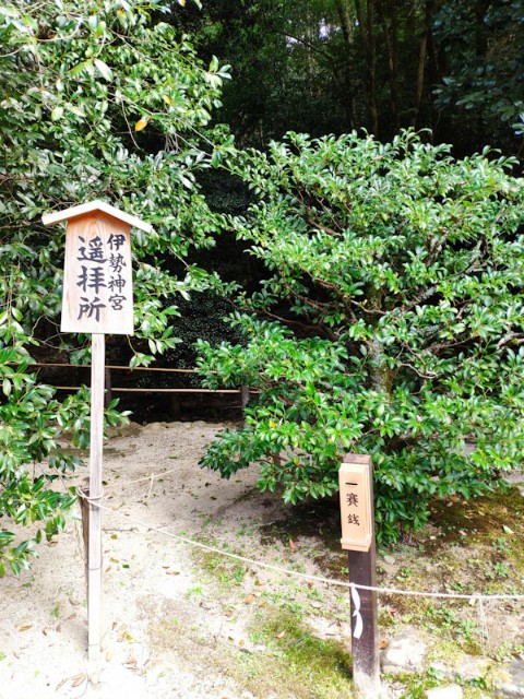 f:id:hitachibana:20200923225837j:image