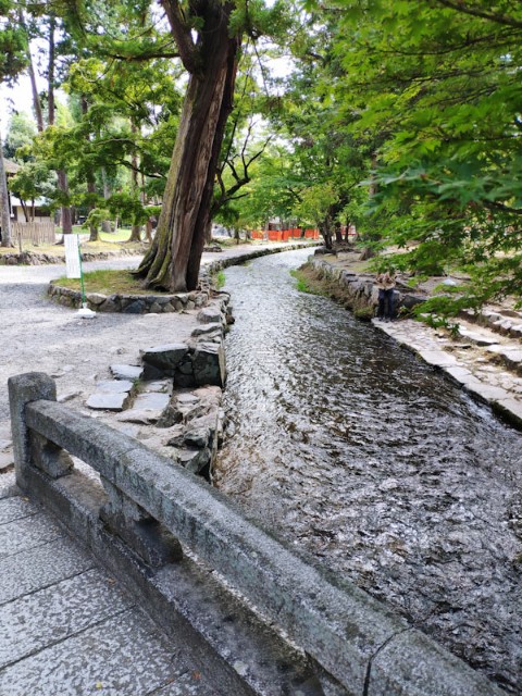 f:id:hitachibana:20200923225911j:image