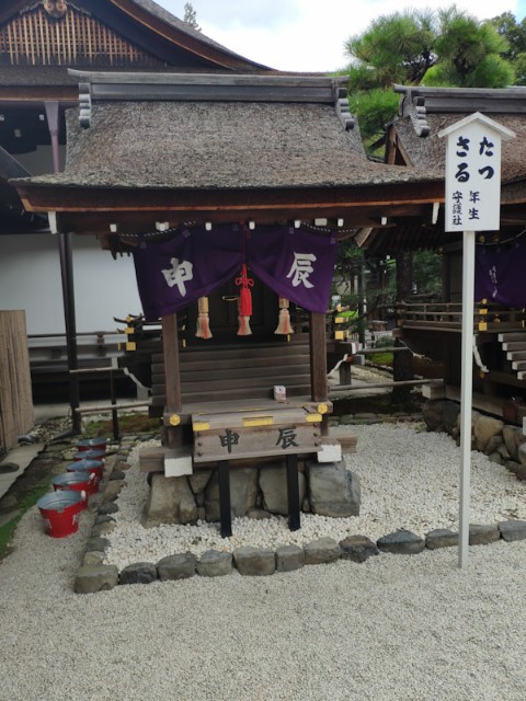 f:id:hitachibana:20200923230331j:image