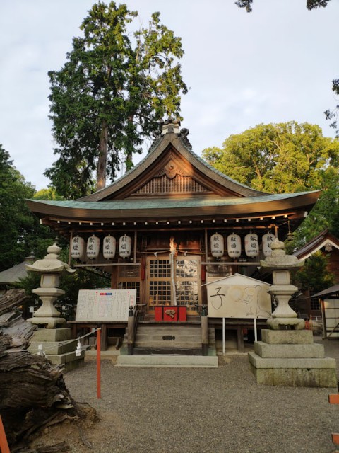 f:id:hitachibana:20200923230844j:image