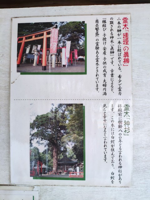 f:id:hitachibana:20200923230928j:image
