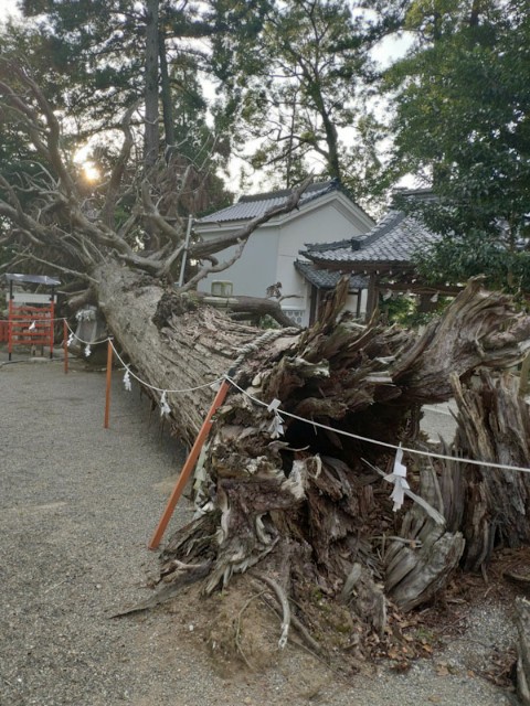 f:id:hitachibana:20200923231002j:image