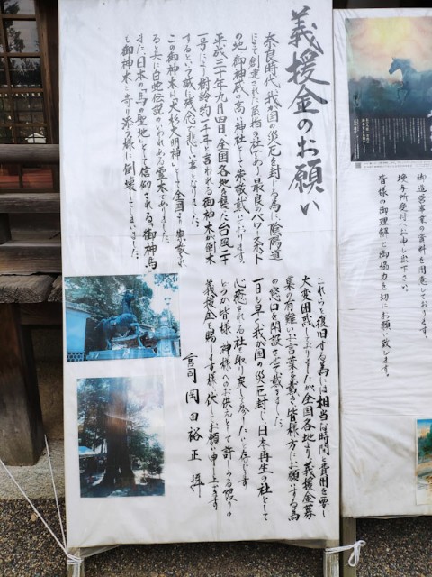 f:id:hitachibana:20200923231122j:image