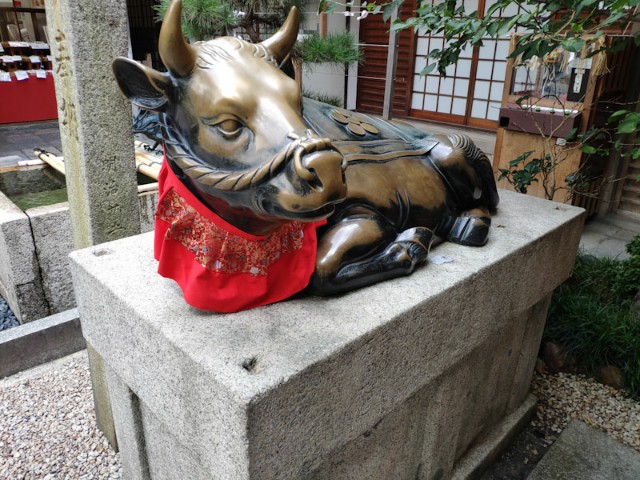 f:id:hitachibana:20200929082451j:image