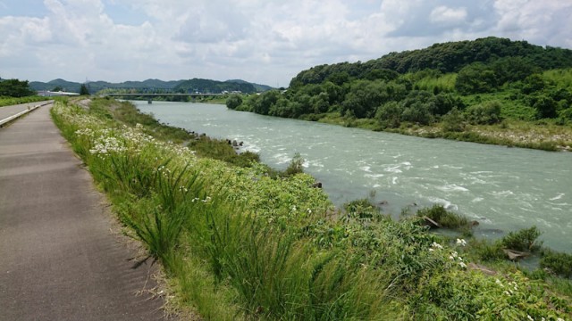 f:id:hitachibana:20201019213004j:image