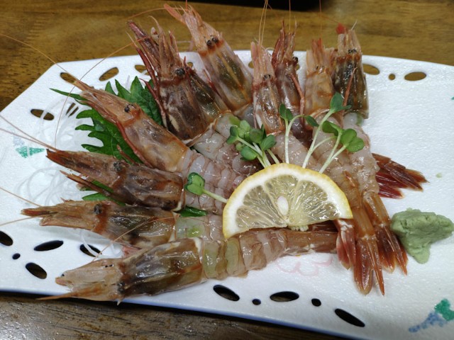 f:id:hitachibana:20201220151532j:image