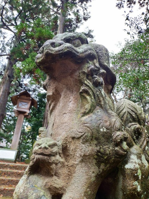 f:id:hitachibana:20201220152347j:image